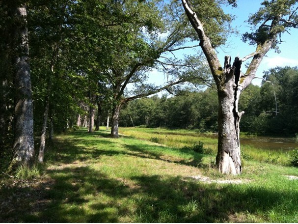 Unknown Artist Landscape 11091